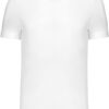 Herren T-Shirt Kariban | K 356