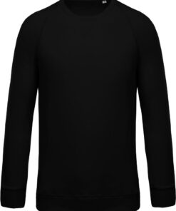 Herren Bio Raglan Sweater Kariban | K 480