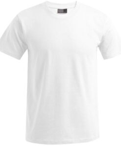 Herren Premium T-Shirt Promodoro | 3099 (XS-6XL)