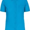 bright turquoise